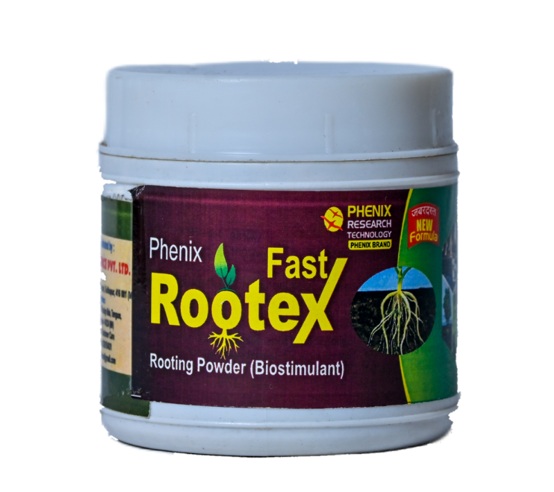 Rootex 