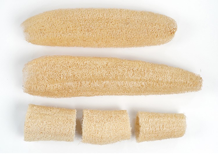 natural loofah
