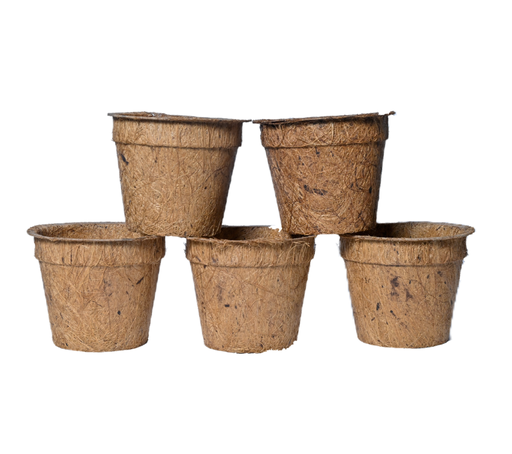 Coco coir Planting Cup 