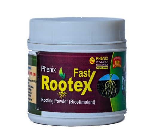 Rootex 